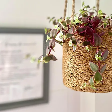 Bed and Breakfast Reveries En Perigord D'hotes De Charme