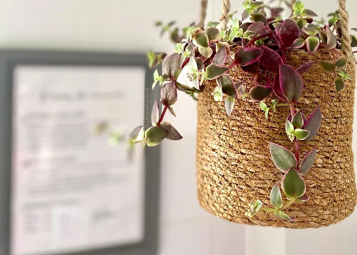 Panzió Reveries En Perigord D'hotes De Charme